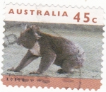Stamps : Oceania : Australia :  koala