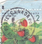 Stamps Canada -  fruta- fresas