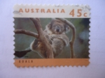 Sellos de Oceania - Australia -  Koala