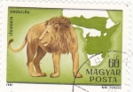 Stamps Hungary -  mapa de Africa y león