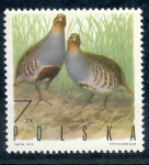 Stamps Poland -  varios