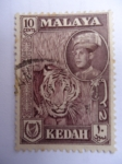 Sellos del Mundo : Asia : Malaysia : Tigre de Malasia - Sultán...