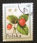 Stamps Poland -  Fresas