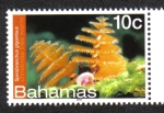 Stamps Bahamas -  Bahamas Vida Marina