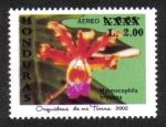 Sellos de America - Honduras -  Orquídeas de Mi Tierra