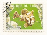 Stamps : Africa : Djibouti :  Pez Arlequin.
