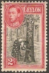 Stamps Sri Lanka -  252 - Árbol de caucho