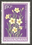 Stamps Romania -  Flor linum borzaeanum