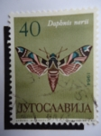 Sellos de Europa - Yugoslavia -  Dapbnis Nerii.