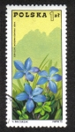 Stamps Poland -  Gentiana verna - Montes Tatras