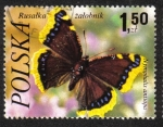 Stamps Poland -  Mariposas