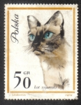 Stamps Poland -  Gatos