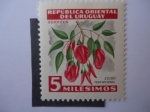 Sellos de America - Uruguay -  Ceibo-Flor Nacional de la Republica Oriental del Uruguay.