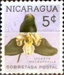 Stamps Nicaragua -  Intercambio 0,20 usd 5 cent. 1962