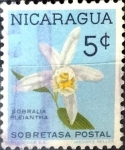 Stamps Nicaragua -  Intercambio 0,20 usd 5 cent. 1962