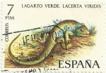 Stamps Spain -  FAUNA HISPÁNICA. LAGARTO VERDE. Lacerta viridis.EDIFIL 2195