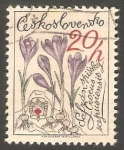 Stamps Czechoslovakia -  2329 - Flor crocus