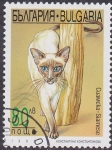 Sellos del Mundo : Europe : Bulgaria : Gato Siamese