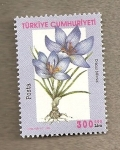 Stamps Asia - Turkey -  Flor Croccus biflora