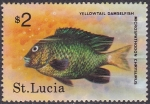 Sellos de America - Santa Lucia -  Yellowtail