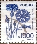 Stamps Poland -  Intercambio 0,50 usd 1000 z. 1989