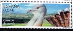 Stamps Spain -  Edifil 4917  Fauna protegida.  