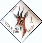 Stamps Spain -  Intercambio jxi 0,20 usd 1 p. 1969