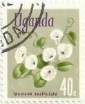 Sellos de Africa - Uganda -  FLORA NATIVA. Ipomoea spathulata. YVERT UG 87