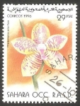 Stamps Morocco -  Sahara - Flor