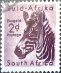 Stamps South Africa -  Intercambio 0,20 usd 2 p. 1954