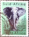 Stamps South Africa -  Intercambio 0,20 usd 4 p. 1954