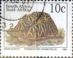 Stamps South Africa -  Intercambio cxrf 0,20 usd 10 cent. 1993