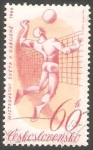 Sellos de Europa - Checoslovaquia -  1461 - Mundial de voley ball