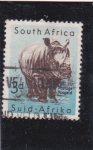 Stamps South Africa -  Rinoceronte