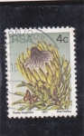 Stamps South Africa -  flora- Protea longifolia