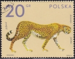 Stamps Poland -  Guepardo