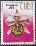 Sellos de America - Cuba -  Orquidea