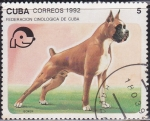 Sellos de America - Cuba -  Perro - Boxer