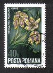 Stamps Romania -  Rumania