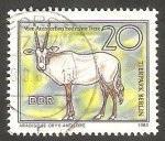 Sellos de Europa - Alemania -  2184 - Antilope