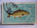 Stamps Romania -  R.P. Romina.