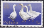 Stamps Poland -  Intercambio