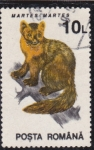 Stamps Romania -  fauna de los bosques