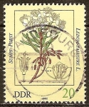 Stamps Germany -  Las plantas venenosas-té labrador, Ledum palustre-DDR.