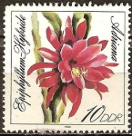 Stamps Germany -  Diario de cactus,Epiphyllum híbridos, Adriana(DDR).