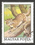 Stamps Hungary -   2691 - Gato salvaje