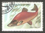 Stamps Russia -   5017 - Fauna marina