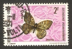 Stamps : Africa : Burkina_Faso :  Alto Volta - 243 - Mariposa hamanumida daedalus