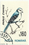 Stamps Romania -  PÁJAROS. HERRERILLO AZUL. Panus (Cyanistes) cyanus. YVERT RO 4073