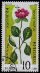 Sellos de Europa - Bulgaria -  SG. 3588